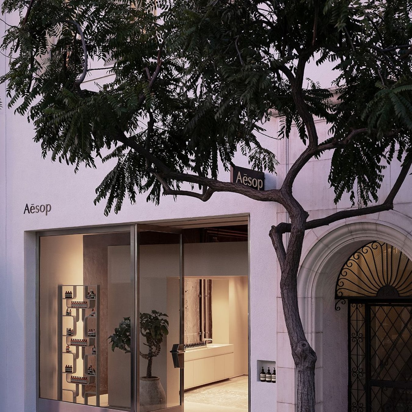 Project-Aesop Beverly Drive: shadows, camera, action.